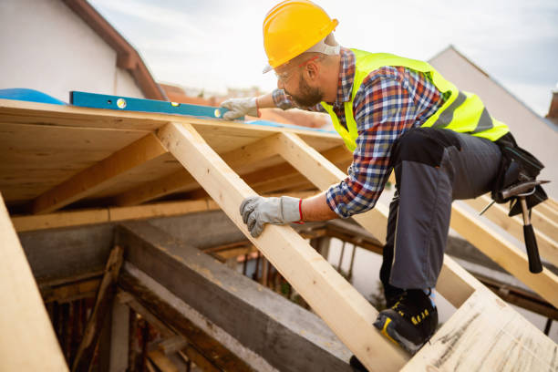 Best Roof Maintenance Services  in Tavares, FL
