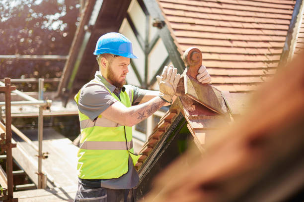 Best Metal Roofing Contractor  in Tavares, FL
