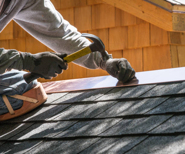 Best Metal Roofing Contractor  in Tavares, FL